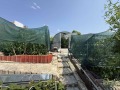 Продава КЪЩА, област Добрич, гр. Балчик • 190000 € • 71504186 17 — Holmes.bg Продава КЪЩА, област Добрич, гр. Балчик • 190000 € • 71504186 17