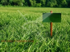 Продава Парцел, с. Брестовица