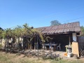 Продава КЪЩА, област Плевен, с. Новачене • 30000 € • 10305035 15 — Holmes.bg Продава КЪЩА, област Плевен, с. Новачене • 30000 € • 10305035 15