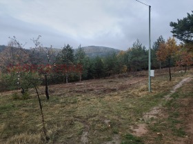 Обява Продава ПАРЦЕЛ,с. Венковец, област София