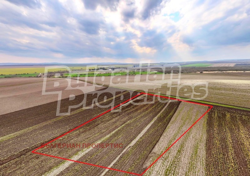 Продава ПАРЦЕЛ, област Варна, гр. Игнатиево • 68159 € • 16385987 1 — Holmes.bg Продава ПАРЦЕЛ, област Варна, гр. Игнатиево • 68159 € • 16385987 1