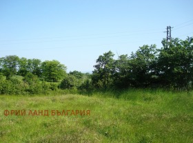 Снимка Продава ЗЕМЕДЕЛСКА ЗЕМЯ