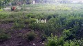 Продава ПАРЦЕЛ, област Шумен, гр. Плиска • 48000 лв. / 24542.01 € • 74281859 6 — Holmes.bg Продава ПАРЦЕЛ, област Шумен, гр. Плиска • 48000 лв. / 24542.01 € • 74281859 6