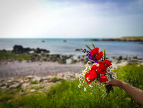 ПАРЦЕЛ, 712 m2 - Holmes.bg ПАРЦЕЛ, 712 m2