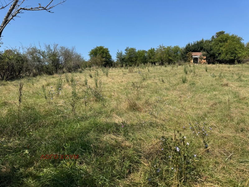 Продава ПАРЦЕЛ, област Варна, с. Слънчево • 62800 € • 36776501 1 — Holmes.bg Продава ПАРЦЕЛ, област Варна, с. Слънчево • 62800 € • 36776501 1