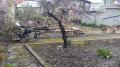 Продава ПАРЦЕЛ, град Търговище, Център • 76000 € • 71906503 4 — Holmes.bg Продава ПАРЦЕЛ, град Търговище, Център • 76000 € • 71906503 4