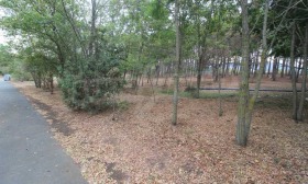 Продава ПАРЦЕЛ | Imot.bg — малка снимка 5