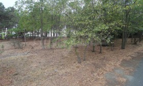 Продава ПАРЦЕЛ | Imot.bg — малка снимка 4