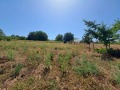 Продава КЪЩА, област Велико Търново, с. Дъскот • 30000 € • 65977460 13 — Holmes.bg Продава КЪЩА, област Велико Търново, с. Дъскот • 30000 € • 65977460 13