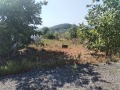 Продава ПАРЦЕЛ, област Стара Загора, с. Елхово (Стара Загора) • 32800 € • 19904317 2 — Holmes.bg Продава ПАРЦЕЛ, област Стара Загора, с. Елхово (Стара Загора) • 32800 € • 19904317 2