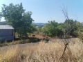 Продава ПАРЦЕЛ, област Стара Загора, с. Елхово (Стара Загора) • 32800 € • 19904317 4 — Holmes.bg Продава ПАРЦЕЛ, област Стара Загора, с. Елхово (Стара Загора) • 32800 € • 19904317 4