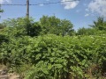 Продава ПАРЦЕЛ, област Велико Търново, с. Козаревец • 17000 € / 33249.11 лв. • 90475141 1 — Holmes.bg Продава ПАРЦЕЛ, област Велико Търново, с. Козаревец • 17000 € / 33249.11 лв. • 90475141 1
