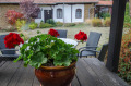 Продава КЪЩА, област Габрово, с. Караиванца • по договаряне • 44325532 6 — Holmes.bg Продава КЪЩА, област Габрово, с. Караиванца • по договаряне • 44325532 6