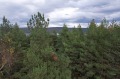 Продава ПАРЦЕЛ, област София, м-т Мечката • 55000 € / 107570.65 лв. • 46887890 4 — Holmes.bg Продава ПАРЦЕЛ, област София, м-т Мечката • 55000 € / 107570.65 лв. • 46887890 4