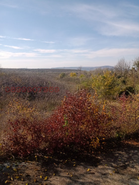 Обява Продава КЪЩА,с. Златна нива, област Шумен