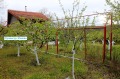 Продава ВИЛА, град Русе, в.з. Касева Чешма • 43000 € / 84100.69 лв. • 69190752 13 — Holmes.bg Продава ВИЛА, град Русе, в.з. Касева Чешма • 43000 € / 84100.69 лв. • 69190752 13