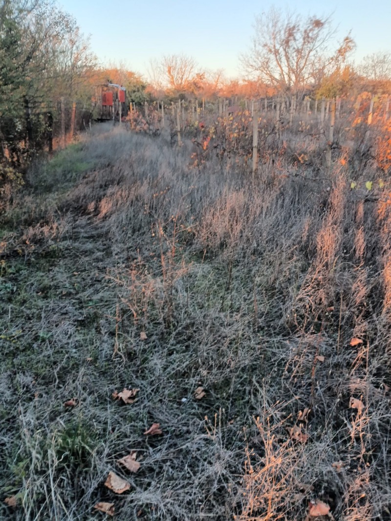 Продава ПАРЦЕЛ, град Разград, Промишлена зона - Изток • 70000 лв. / 35790.43 € • 68915423 1 — Holmes.bg Продава ПАРЦЕЛ, град Разград, Промишлена зона - Изток • 70000 лв. / 35790.43 € • 68915423 1