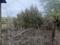 Продава ПАРЦЕЛ, област Добрич, с. Богдан • 20000 € / 39116.60 лв. • 22429887 4 — Holmes.bg Продава ПАРЦЕЛ, област Добрич, с. Богдан • 20000 € / 39116.60 лв. • 22429887 4