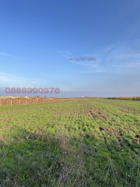 Продава Земеделска земя, с. Брестник