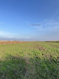 Продава Земеделска земя област Пловдив , с. Брестник , 3.15 дка | 89450740 — Imoti.com Продава Земеделска земя област Пловдив , с. Брестник , 3.15 дка | 89450740
