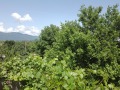 Продава КЪЩА, област Стара Загора, с. Ягода • 98000 € • 70314101 10 — Holmes.bg Продава КЪЩА, област Стара Загора, с. Ягода • 98000 € • 70314101 10