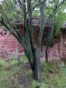 Продава КЪЩА | Imot.bg — малка снимка 4