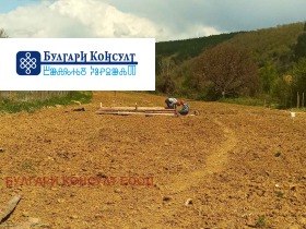 Обява Продава ЗЕМЕДЕЛСКА ЗЕМЯ,с. Згурово, област Кюстендил