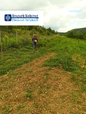 Продава ЗЕМЕДЕЛСКА ЗЕМЯ | Imot.bg — малка снимка 7