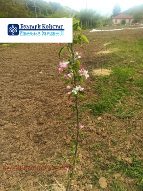 Продава ЗЕМЕДЕЛСКА ЗЕМЯ | Imot.bg — малка снимка 5