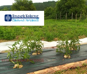 Продава ЗЕМЕДЕЛСКА ЗЕМЯ | Imot.bg — малка снимка 6