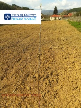 Продава ЗЕМЕДЕЛСКА ЗЕМЯ | Imot.bg — малка снимка 4
