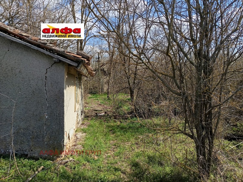 Продава ПАРЦЕЛ, област Добрич, с. Свобода • 5500 € • 22731190 1 — Holmes.bg Продава ПАРЦЕЛ, област Добрич, с. Свобода • 5500 € • 22731190 1