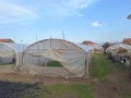 Продава ПАРЦЕЛ, област Пазарджик, с. Братаница • 60000 лв. / 30677.51 € • 53194797 5 — Holmes.bg Продава ПАРЦЕЛ, област Пазарджик, с. Братаница • 60000 лв. / 30677.51 € • 53194797 5
