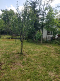 Продава ПАРЦЕЛ, град Велико Търново, Зона Б • 110000 € • 49744505 2 — Holmes.bg Продава ПАРЦЕЛ, град Велико Търново, Зона Б • 110000 € • 49744505 2