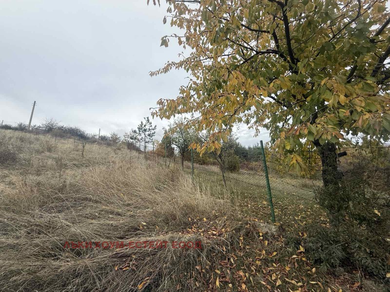 Продава ПАРЦЕЛ, град София, гр. Банкя • 64680 € / 126503.08 лв. • 65563028 1 — Holmes.bg Продава ПАРЦЕЛ, град София, гр. Банкя • 64680 € / 126503.08 лв. • 65563028 1