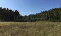 Продава ПАРЦЕЛ, Гърция, Халкидики • 400000 € / 782332.00 лв. • 19713133 8 — Holmes.bg Продава ПАРЦЕЛ, Гърция, Халкидики • 400000 € / 782332.00 лв. • 19713133 8