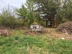 Обява Продава ПАРЦЕЛ,град София, с. Лозен