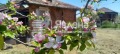 Продава Къща област Бургас , с. Фазаново , 52 кв.м | 70455219 — Imoti.com Продава Къща област Бургас , с. Фазаново , 52 кв.м | 70455219