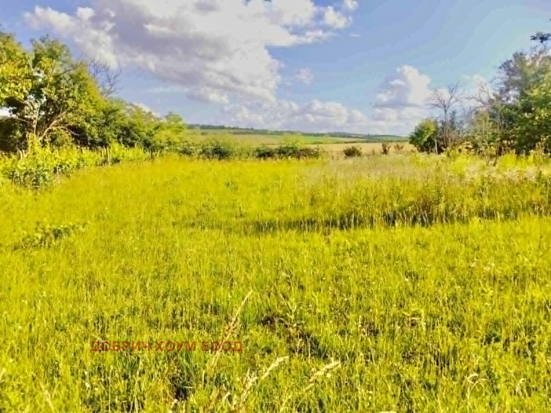 Продава КЪЩА, област Добрич, с. Медово • 40000 € / 78233.20 лв. • 29269011 1 — Holmes.bg Продава КЪЩА, област Добрич, с. Медово • 40000 € / 78233.20 лв. • 29269011 1