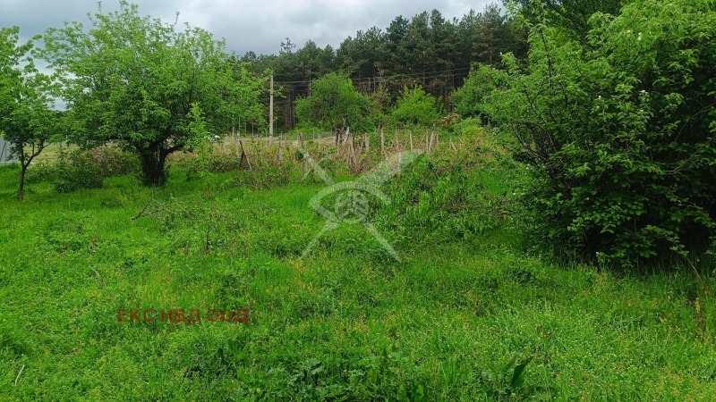 Продава ПАРЦЕЛ, област Пловдив, гр. Сопот • 19000 € / 37160.77 лв. • 11229681 1 — Holmes.bg Продава ПАРЦЕЛ, област Пловдив, гр. Сопот • 19000 € / 37160.77 лв. • 11229681 1