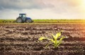 Продава Земеделска земя област Пловдив , гр. Хисаря , 5 дка | 33567833 — Imoti.com Продава Земеделска земя област Пловдив , гр. Хисаря , 5 дка | 33567833