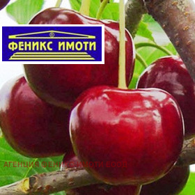 Продава Земеделска земя, с. Горна Гращица