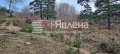 Продава ПАРЦЕЛ, град София, с. Владая • 145000 € / 283595.35 лв. • 98685087 5 — Holmes.bg Продава ПАРЦЕЛ, град София, с. Владая • 145000 € / 283595.35 лв. • 98685087 5