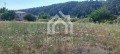 Продава ПАРЦЕЛ, Гърция, Халкидики • 70000 € / 136908.10 лв. • 79649595 6 — Holmes.bg Продава ПАРЦЕЛ, Гърция, Халкидики • 70000 € / 136908.10 лв. • 79649595 6