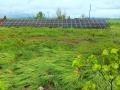 Продава КЪЩА, област Стара Загора, с. Черна гора • 120000 € / 234699.60 лв. • 70207641 2 — Holmes.bg Продава КЪЩА, област Стара Загора, с. Черна гора • 120000 € / 234699.60 лв. • 70207641 2