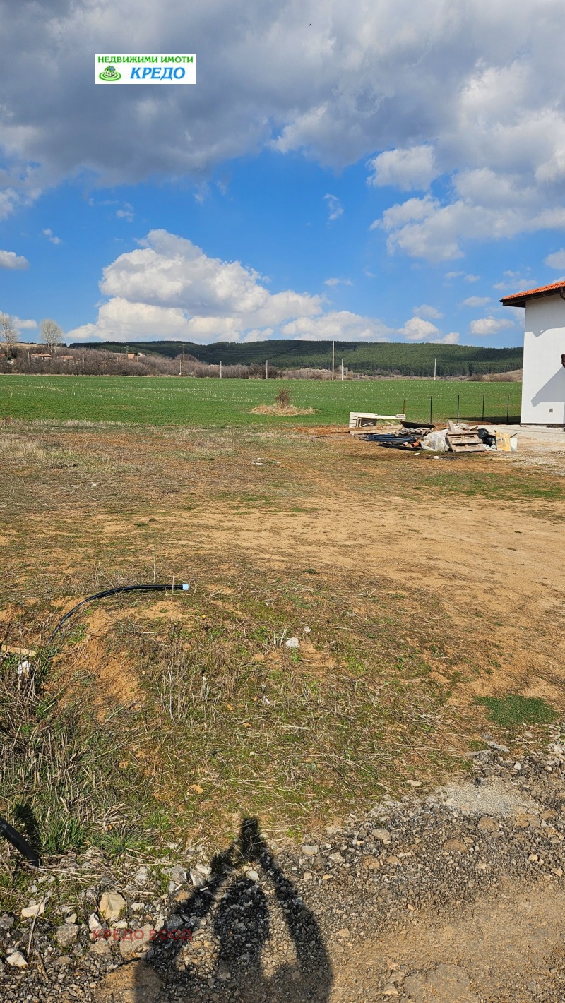 Продава ПАРЦЕЛ, област Перник, с. Долна Диканя • 38800 € / 75886.20 лв. • 39691536 1 — Holmes.bg Продава ПАРЦЕЛ, област Перник, с. Долна Диканя • 38800 € / 75886.20 лв. • 39691536 1