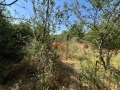 Продава КЪЩА, област Пловдив, с. Езерово • 23000 € • 18760867 8 — Holmes.bg Продава КЪЩА, област Пловдив, с. Езерово • 23000 € • 18760867 8