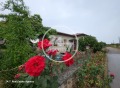 Продава Парцел област Добрич , с. Езерец , 763 кв.м | 46797907 — Imoti.com Продава Парцел област Добрич , с. Езерец , 763 кв.м | 46797907