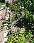 Продава КЪЩА, област Враца, с. Търнак • 45000 € • 17848485 15 — Holmes.bg Продава КЪЩА, област Враца, с. Търнак • 45000 € • 17848485 15