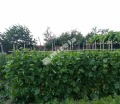 Продава КЪЩА, област Враца, с. Търнак • 45000 € • 17848485 11 — Holmes.bg Продава КЪЩА, област Враца, с. Търнак • 45000 € • 17848485 11